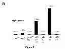 Fig. 06 - Methods for Genetic Diversification in Gene Conversion Active Cells