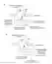 Application 20140068797, fig. 01