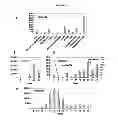 Fig. 09 - STRESS RESPONSIVE EXPRESSION