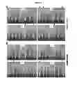 Fig. 12 - STRESS RESPONSIVE EXPRESSION