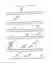 Fig. 02 - Chimeric promoters capable of mediating gene expression in plants upon pathogen infection and uses thereof