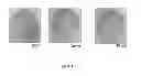 Fig. 02 - METHOD FOR STABLE EXPRESSION OF SUPPRESSORS OF  RNAI IN PLANTS BY DIRECT GENETIC TRANSFORMATION OF SEEDS
