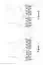 Fig. 02 - Textile thigh protector
