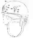 Fig. 01 - Method and system for retaining ski goggles