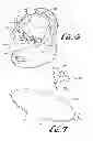 Fig. 04 - Child-support device with soothing device