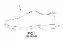 Fig. 02 - Flexible shoe sole