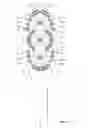 Fig. 07 - Oral care implement having fluid delivery system