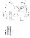 Fig. 06 - Footwear insert with foot stop