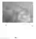Fig. 02 - Anti-Fungal Compositions and Associated Methods