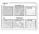 Fig. 06 - PLANT CULTIVATION SYSTEM UTILIZING PHOSPHITE AS A NUTRIENT AND AS A CONTROL AGENT FOR WEEDS AND ALGAE