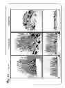 Fig. 13 - PLANT CULTIVATION SYSTEM UTILIZING PHOSPHITE AS A NUTRIENT AND AS A CONTROL AGENT FOR WEEDS AND ALGAE