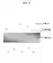 Fig. 02 - ANTI-FOULING BIO-HYDROGEL COMPOSITION