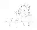 Fig. 03 - MASK AND MANUFACTURING METHOD THEREOF