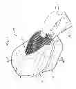 Fig. 02 - Tidy cat litter box