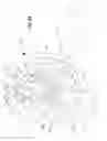 Fig. 28 - Archery bow