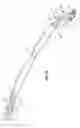 Fig. 33 - Archery bow