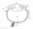 Fig. 01 - Conformable therapeutic shield for vision and pain