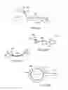 Fig. 43 - Conformable therapeutic shield for vision and pain