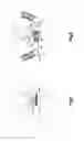 Fig. 04 - Infant Nasal Septum Protective Device