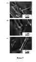 Fig. 08 - MORPHOLOGICAL AND SPATIAL CONTROL OF InP CRYSTAL GROWTH USING CLOSED-SPACED SUBLIMATION