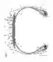 Fig. 02 - Rubber composition for tread groove reinforcement