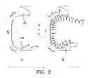 Fig. 03 - METHOD FOR PREFORMING A GREEN TIRE
