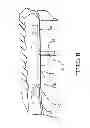 Fig. 07 - Three/four step ladder with a curve about