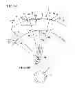 Fig. 09 - Linear stopper