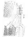 Fig. 19 - Protective Cover for a Tablet Computer
