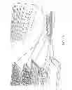 Fig. 20 - Protective Cover for a Tablet Computer