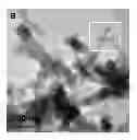 Fig. 01 - CoPloaded red phosphorus, preparation and use of the same