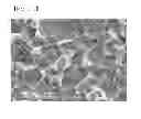 Fig. 04 - NICKEL PLATING SOLUTION AND METHOD FOR FORMING NICKEL PLATING LAYER USING THE SAME