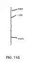 Fig. 69 - CORD WRAP HANG TAB
