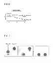 Fig. 09 - Particle separation device and method of separating particles