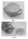 Fig. 02 - Food/drink container