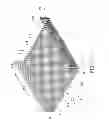 Fig. 04 - Object carrying device