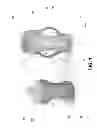 Fig. 02 - Cup With Repositionable Handles