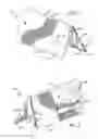 Fig. 02 - DISPENSING PACKAGE