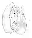Fig. 02 - Self-adapting cap shaper