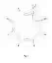 Fig. 05 - Self-adapting cap shaper