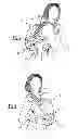 Fig. 02 - Baby carrier