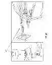 Fig. 09 - DEVICE AND METHOD FOR AEROSOL DISPENSING OF A PLURALITY OF DRY POWDERS AND NANO-MATERIALS