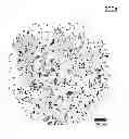 Fig. 01 - Method of breaking down biological material