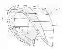 Fig. 01 - CONTROL SAIL FOR A KITE