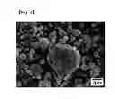 Fig. 04 - Ferrite magnet with salt and manufacturing method of the same