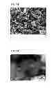 Fig. 33 - Ferrite magnet with salt and manufacturing method of the same