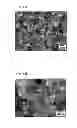 Fig. 37 - Ferrite magnet with salt and manufacturing method of the same