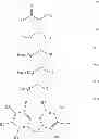 Fig. 05 - Oxocarbon-, pseudooxocarbon- and radialene compounds and their use