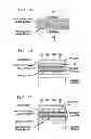 Fig. 06 - Single-Crystal Phase Change Material on Insulator for Reduced Cell Variability