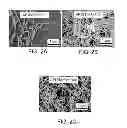 Fig. 05 - Separated Carbon Nanotube-Based Active Matrix Organic Light-Emitting Diode Displays